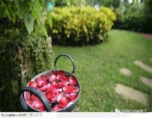 防腐问题知多少?健康有多大,防腐就有多重要!(图1)