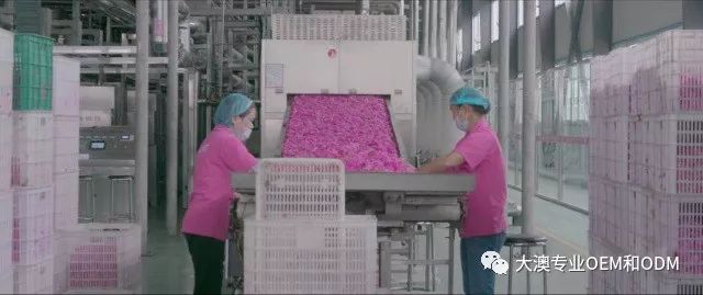 精油中的“奥斯卡”,你在看颁奖典礼了吗?(图27)