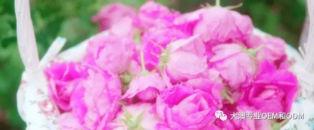 精油中的“奥斯卡”,你在看颁奖典礼了吗?(图25)