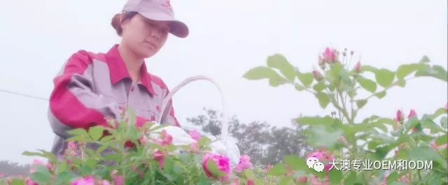 精油中的“奥斯卡”,你在看颁奖典礼了吗?(图24)