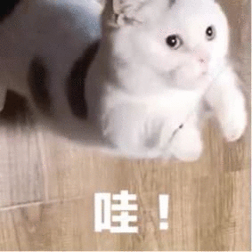 植树®|澳洲茶树精油祛痘控油套盒 油痘星人的种草来咯~(图4)