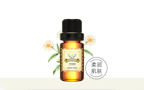 洋甘菊精油