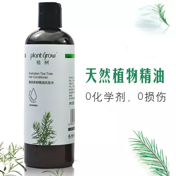澳洲茶树精油洗发水,除螨、去油、味道芳香(图16) 图片