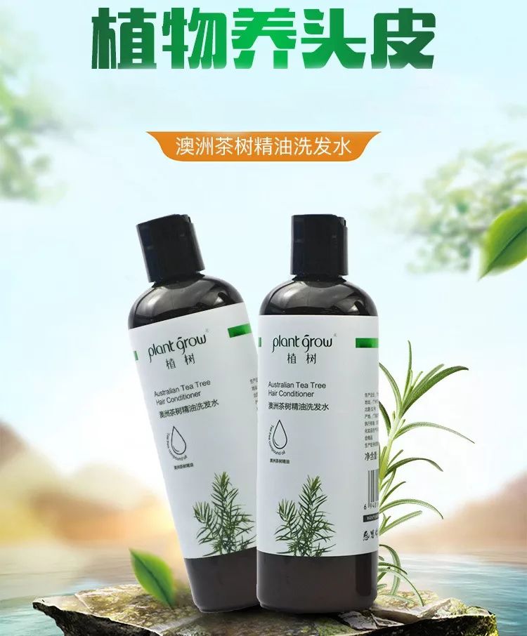 澳洲茶树精油洗发水,除螨、去油、味道芳香(图7) 图片