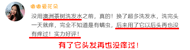 “油头克星”澳洲茶树精油——控油、除螨、去屑一瓶全搞定!(图4) 图片