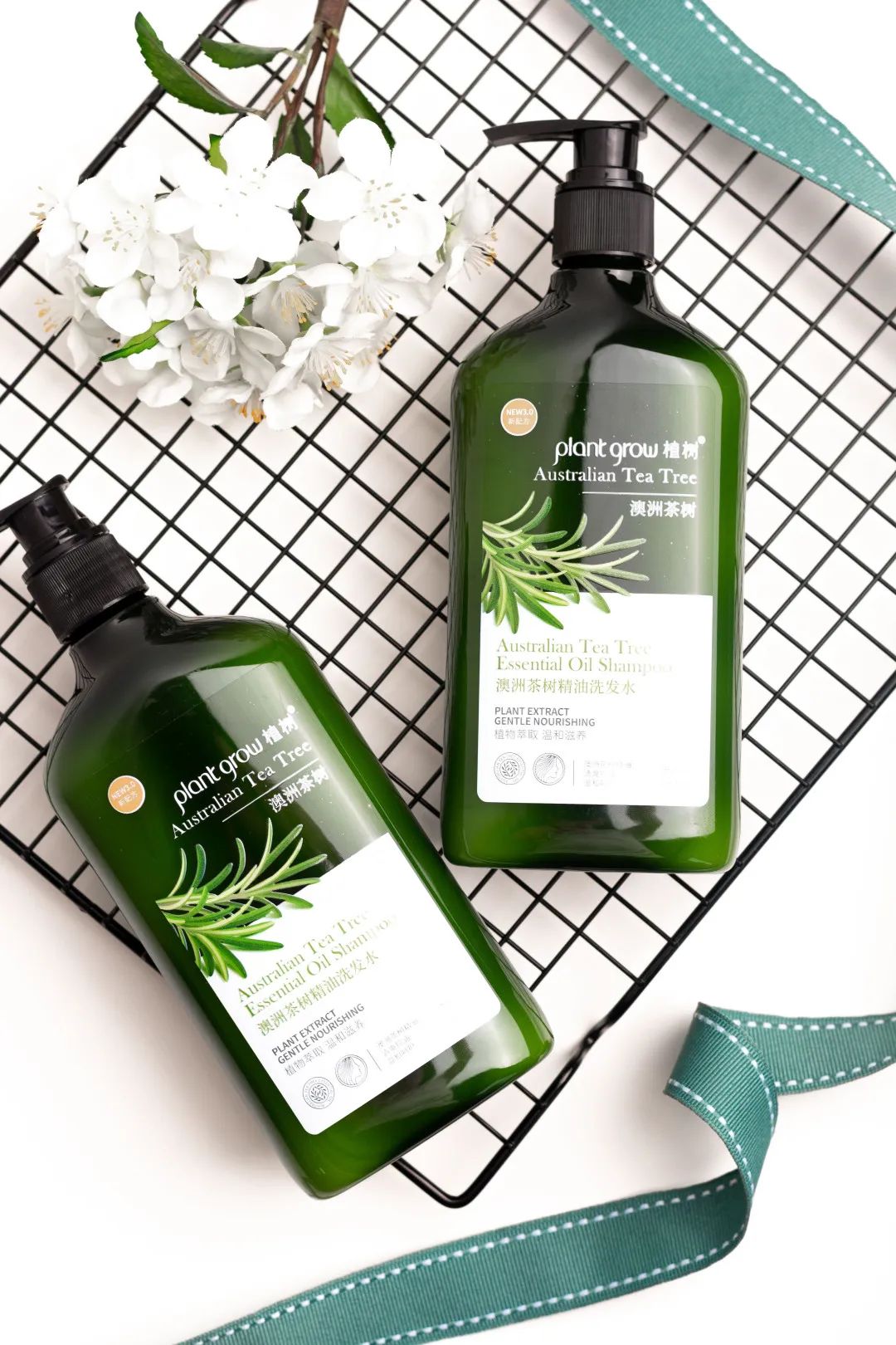 “油头克星”澳洲茶树精油——控油、除螨、去屑一瓶全搞定!(图1) 图片