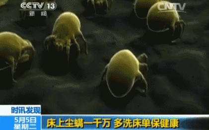 澳洲茶树精油沐浴露除螨祛痘,守候肌肤健康(图5) 图片