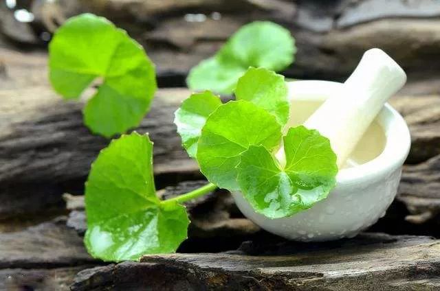 大澳®|产品 天然雕饰美,10大纯露哪款是你心头爱?(图9) 图片