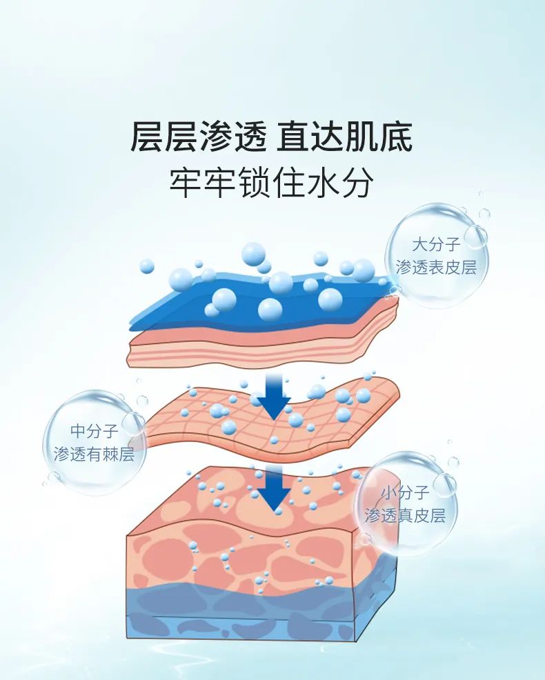 海百合小灯泡面膜_06.jpg 图片